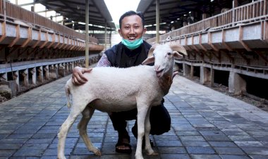 Doa dan Tata Cara Penyembelihan Hewan Qurban yang Benar