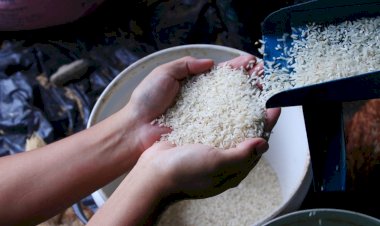 Fidyah untuk Orang yang Menangguhkan Qadha Ramadhan