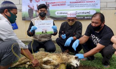 Tata Cara Menyembelih Hewan Qurban Sesuai Syariah