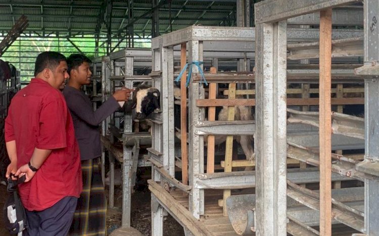 Jelang Idul Adha, PPPA Daarul Qur'an Banten Kunjungani DD Farm di Serang