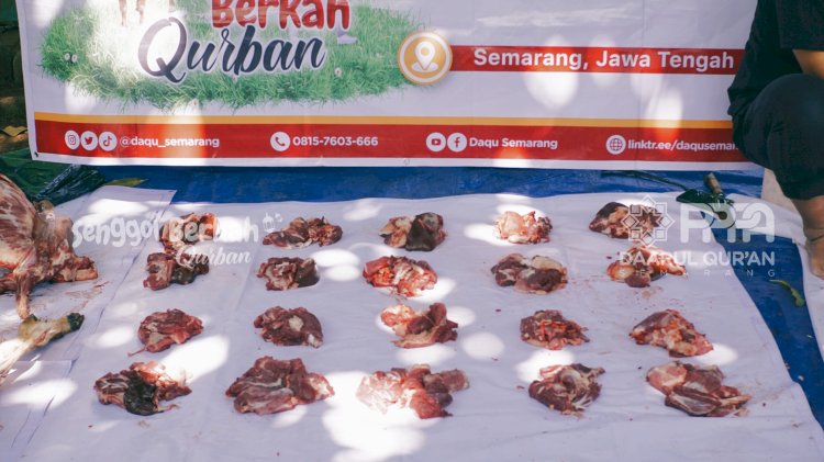PPPA Daarul Qur’an Semarang Potong 34 Hewan Qurban