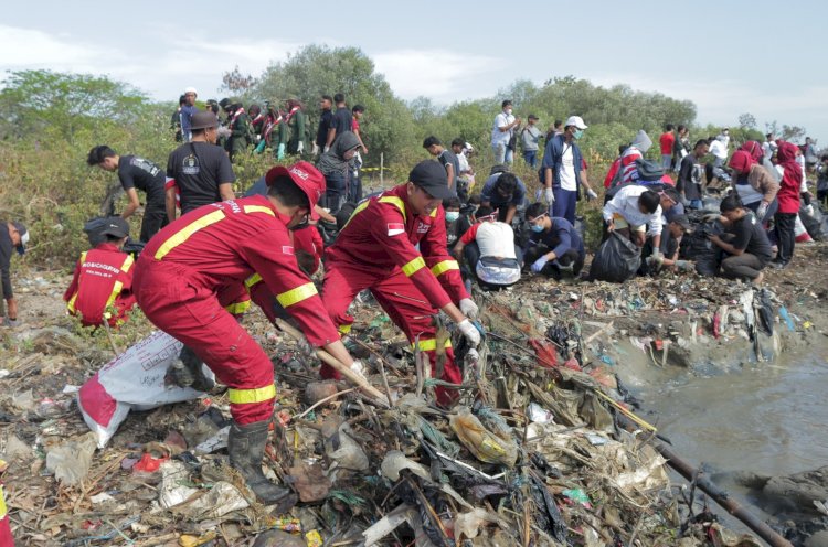 Aksi Tim Kasih Mega Clean Up Pantai Cirebon Bersama Pandawara Group