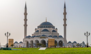 Kisah Abu Thalhah: Bersedekah dengan Harta yang Dicintai