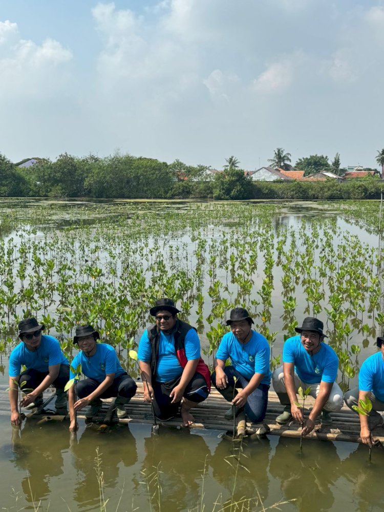 Laznas PPPA Daarul Qur'an Banten Luncurkan Program Sedekah Sejuta Pohon Mangrove