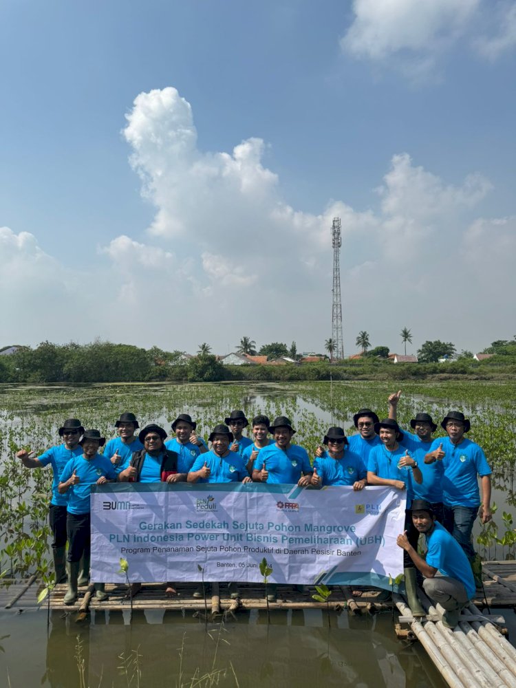 Laznas PPPA Daarul Qur'an Banten Luncurkan Program Sedekah Sejuta Pohon Mangrove