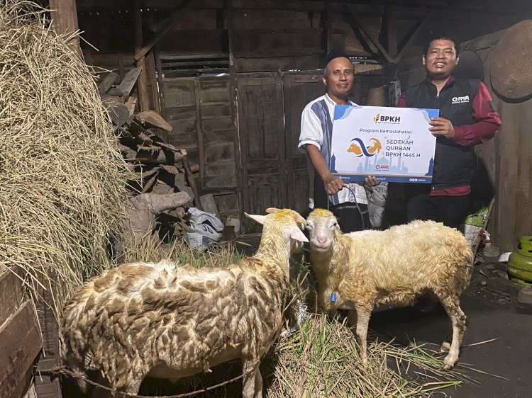 Sedekah Qurban BPKH Untuk Penghafal Al-Qur'an Dan Masyarakat Pelosok Jawa Timur