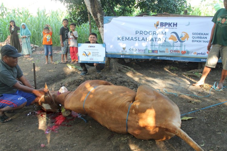 Sedekah Qurban BPKH Untuk Penghafal Al-Qur'an Dan Masyarakat Pelosok Jawa Timur