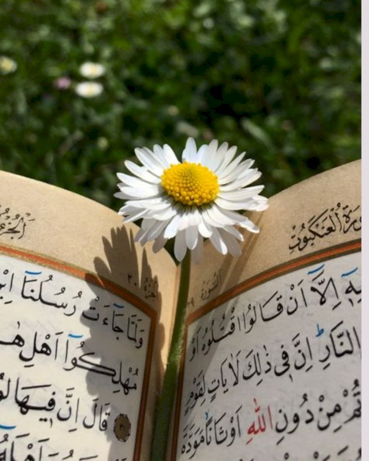 Tadabbur Surah Al-Kautsar