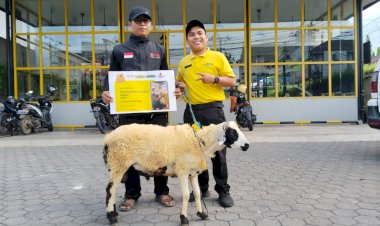 Sinergi Qurban bersama Waroeng Group Indonesia