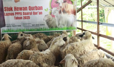 Siapkan Stok Hewan Qurban Berkualitas untuk Idul Adha 1446H