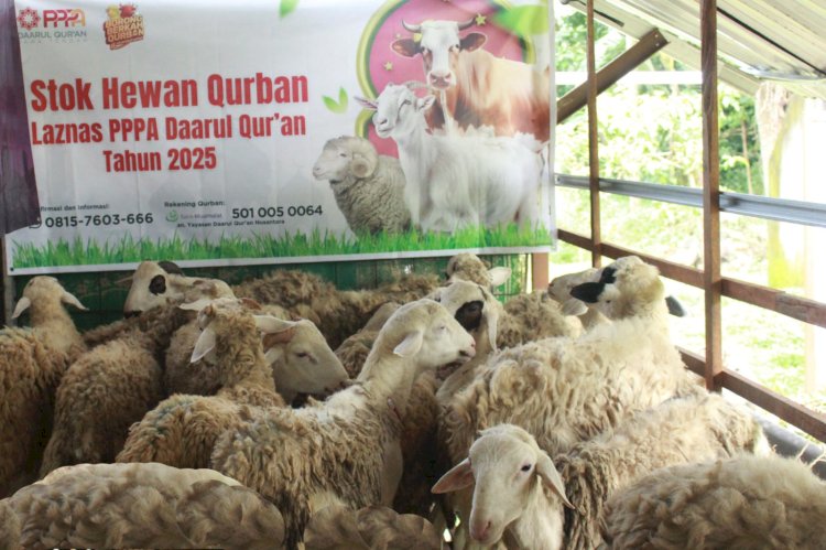 Siapkan Stok Hewan Qurban Berkualitas untuk Idul Adha 1446H