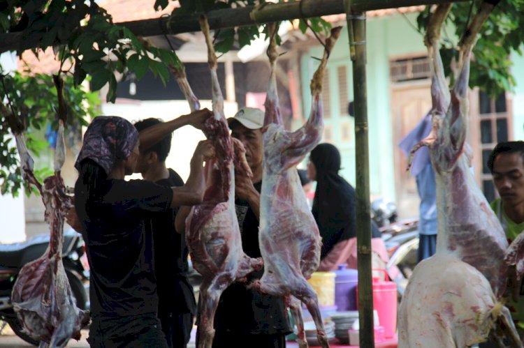 Borong Berkah Qurban, PPPA Daarul Qur’an Bogor Hadirkan Kebahagiaan bagi Ribuan Mustahik