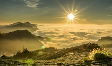 Tiga Negeri yang Allah Berkahi: Tadabbur Surah At-Tin