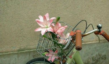 Syarat Menjadi Umat yang Dicintai Allah