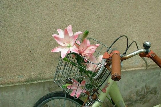 Syarat Menjadi Umat yang Dicintai Allah