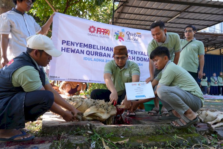 Teladan dari Dalam, Amil Laznas PPPA Daarul Qur'an Patungan Qurban untuk 451 Keluarga Penerima Manfaat
