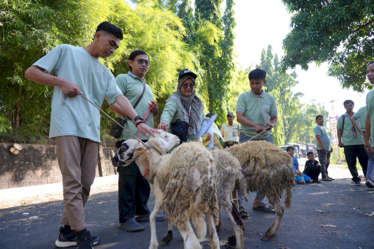 Teladan dari Dalam, Amil Laznas PPPA Daarul Qur'an Patungan Qurban untuk 451 Keluarga Penerima Manfaat