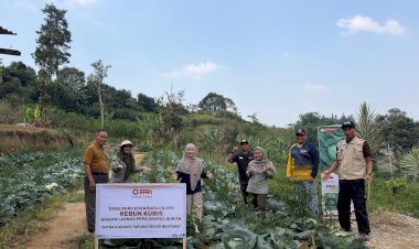 Panen Raya di Ciloto, Ikhtiar Melahirkan Petani Muda Mandiri