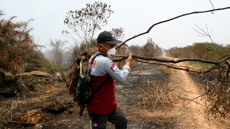 SIGAB PPPA Bantu Padamkan Api di Perkebunan Kelapa Sawit Palembang